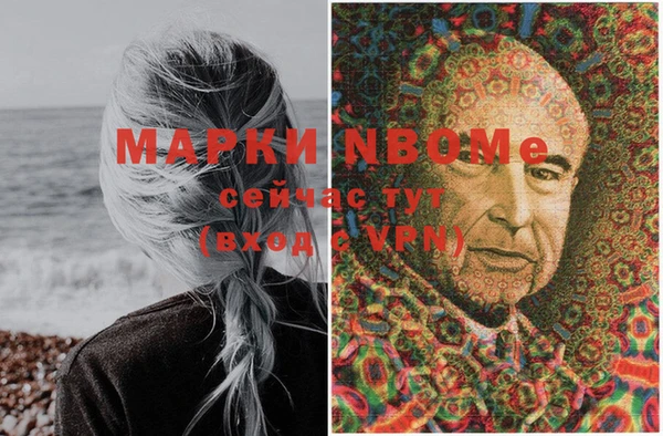 гашик Белокуриха
