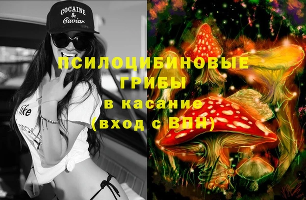 стафф Беломорск