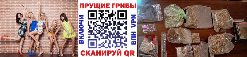 Галлюциногенные грибы Psilocybine cubensis  Жуковский 